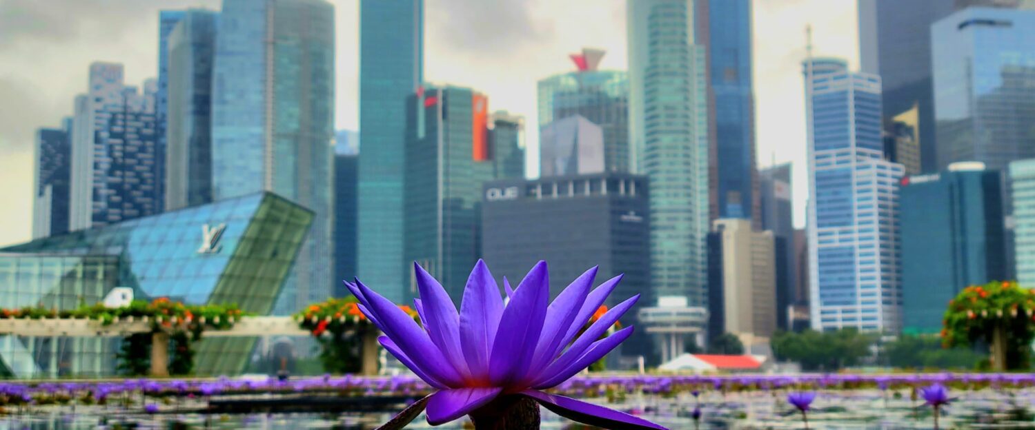 Strictly Singapore - A Travel Blog