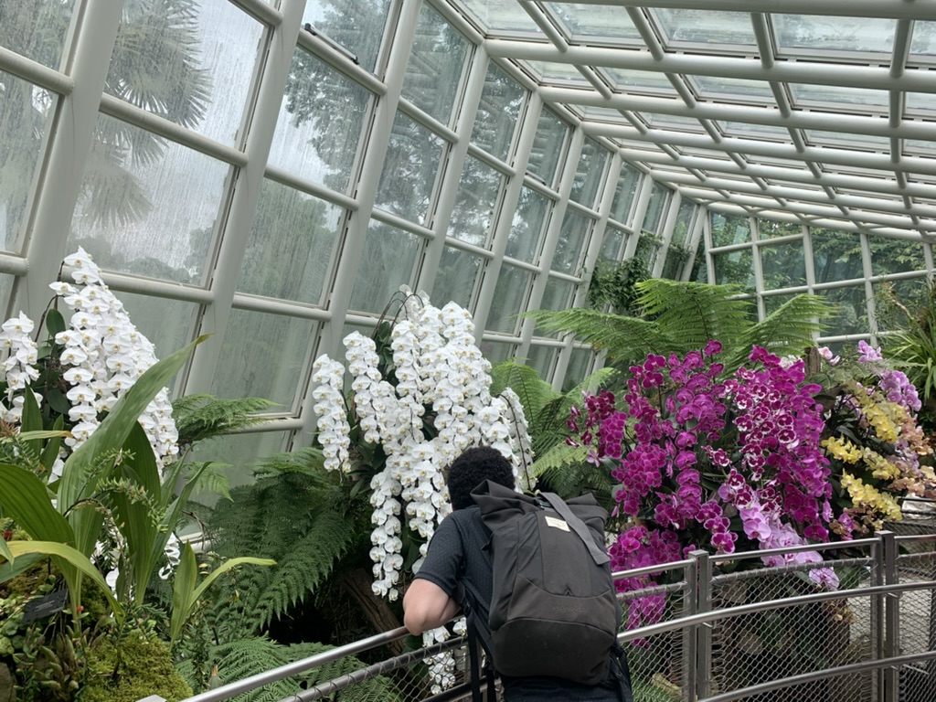 Singapore Gardens