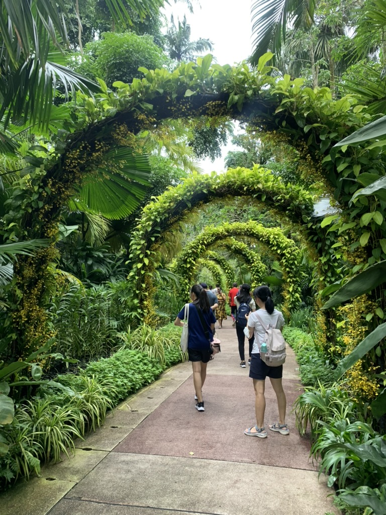 National Orchid Garden Singapore