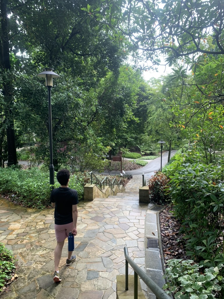 Singapore Botanic Gardens