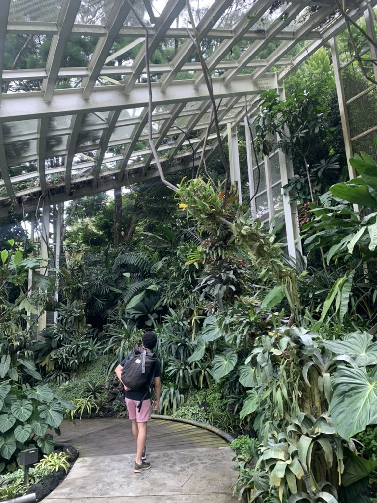 singapore greenhouse