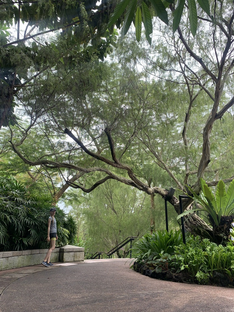 Singapore Botanic Gardens