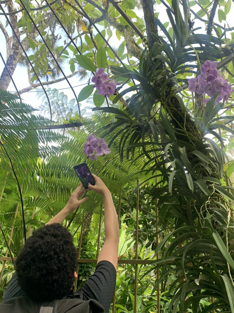 National Orchid Garden