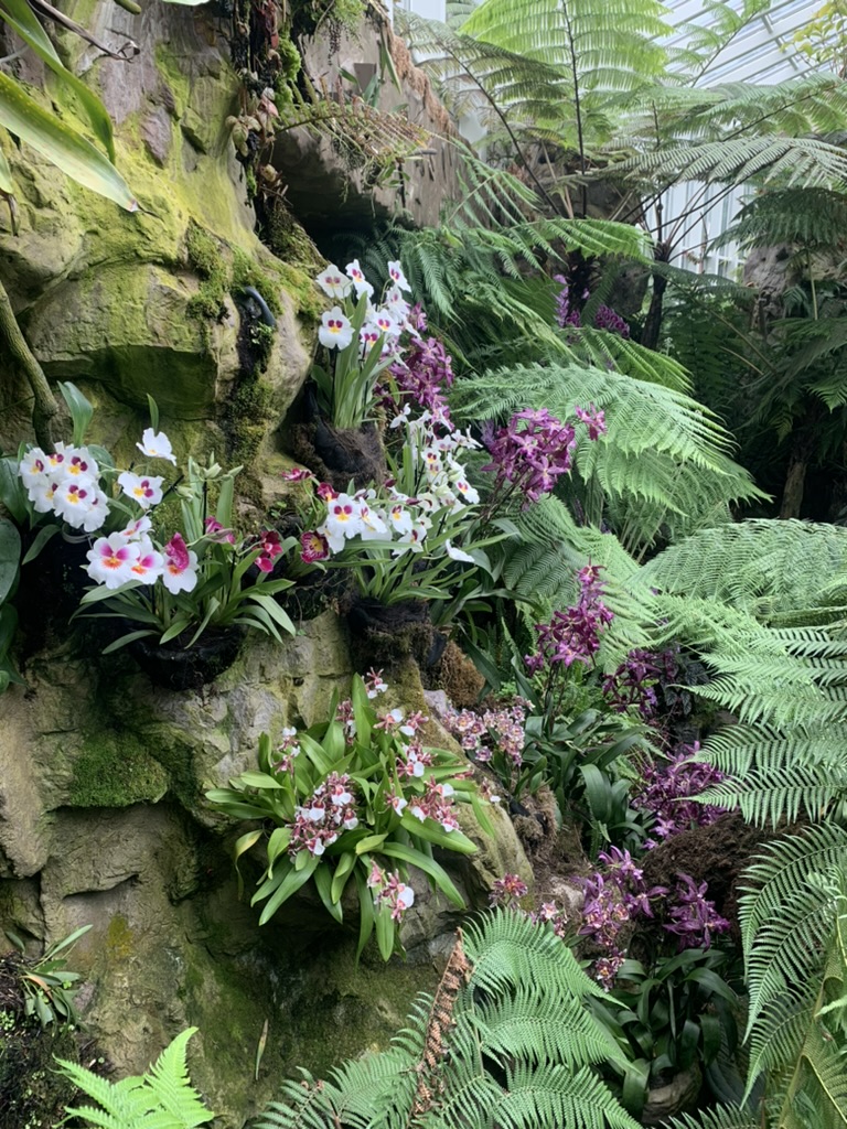 National Orchid Garden