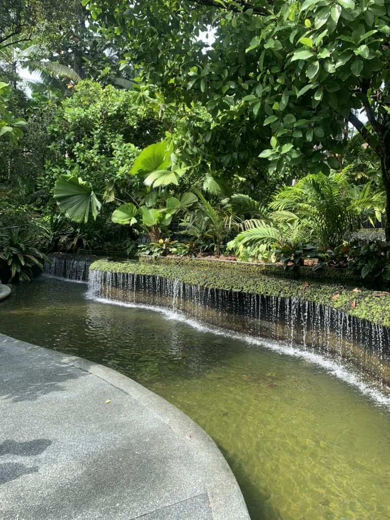 Singapore Botanic Gardens