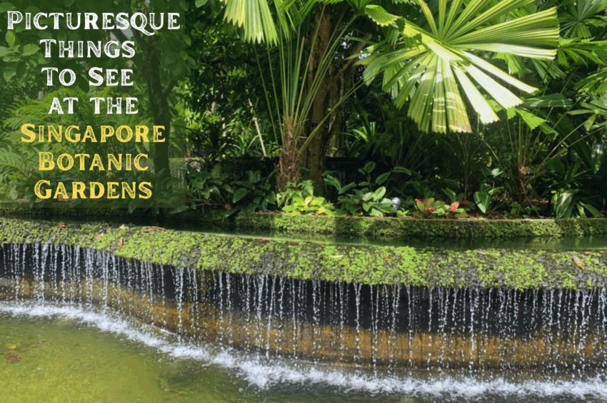 Singapore Botanic Gardens
