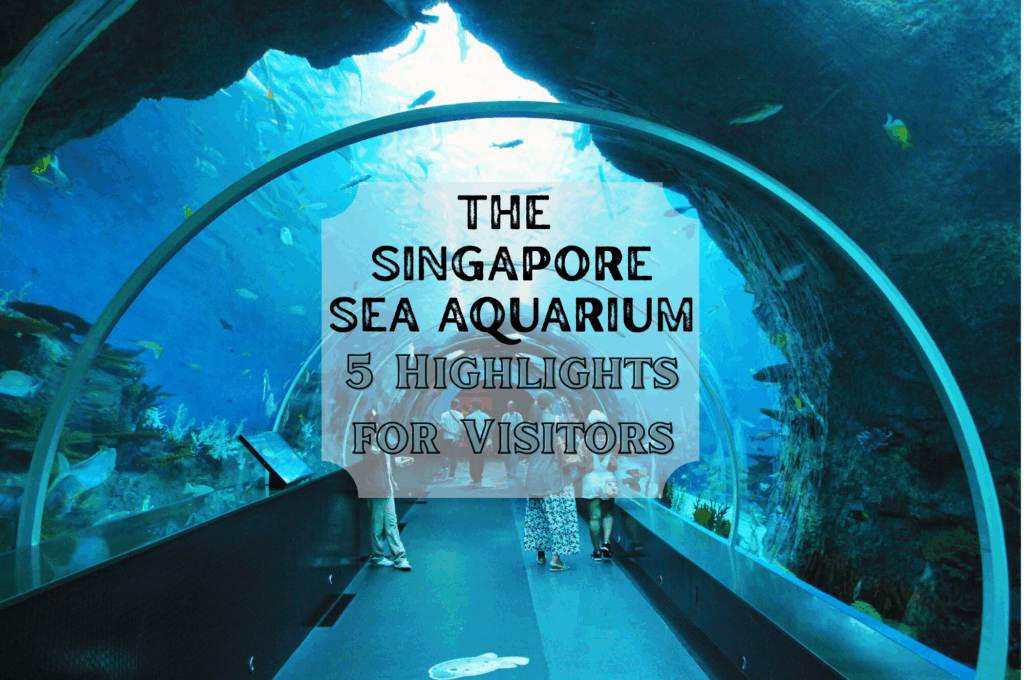 Singapore SEA Aquarium