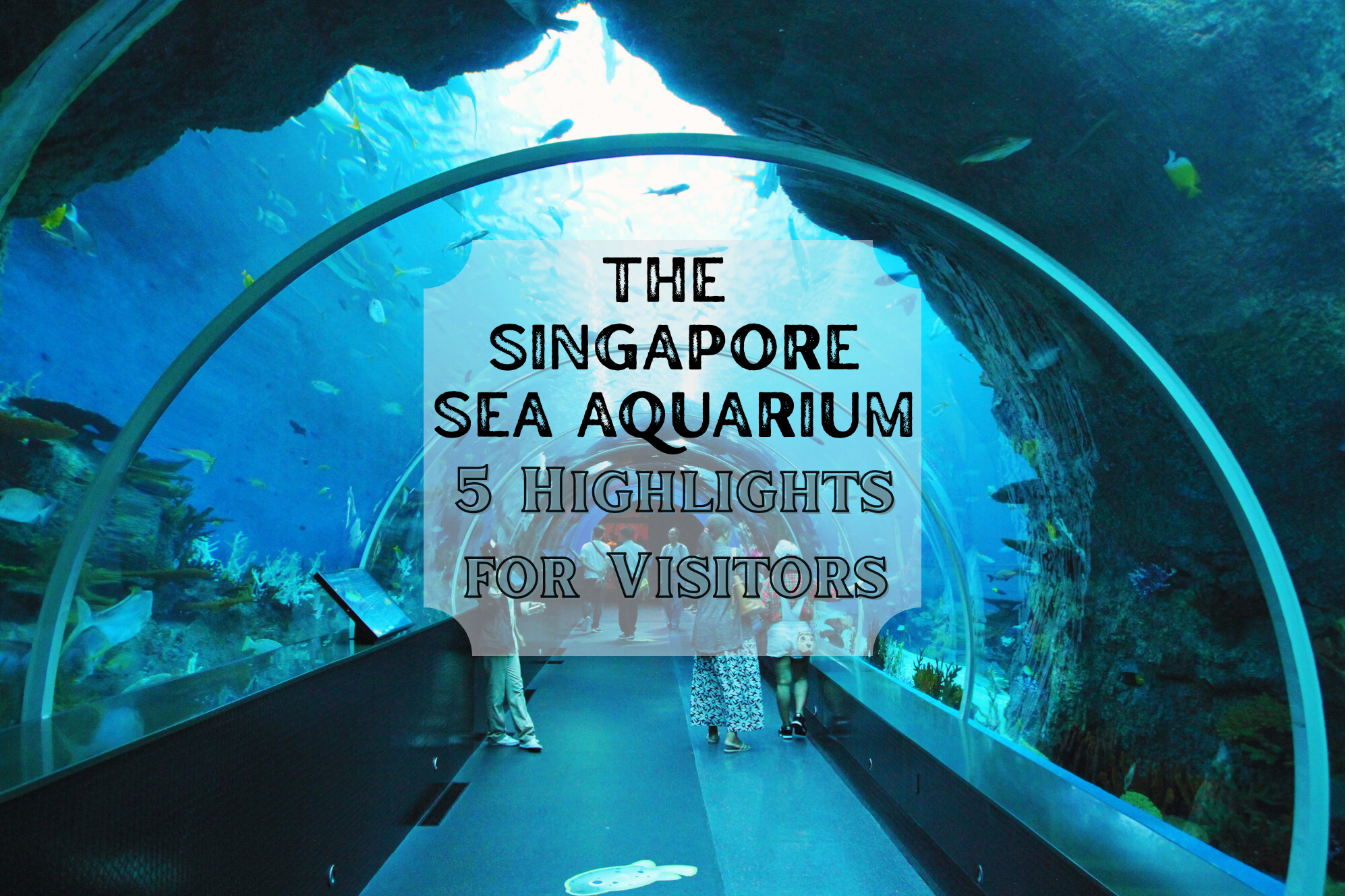 Singapore SEA Aquarium