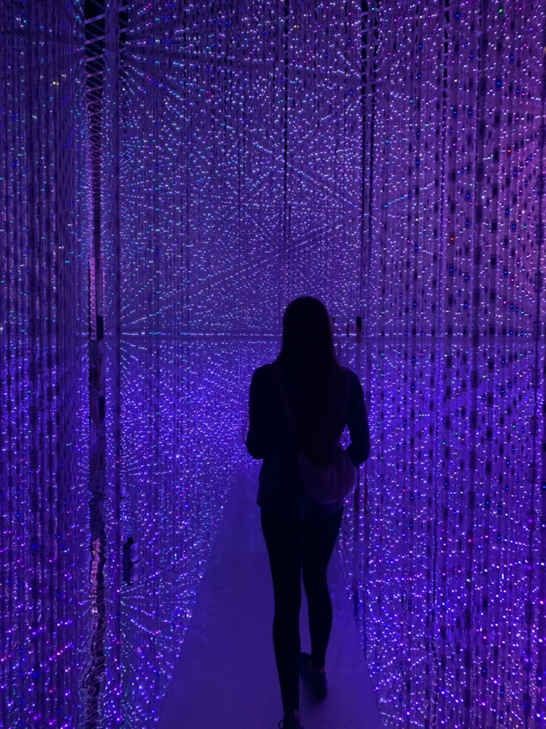 ArtScience Museum Singapore