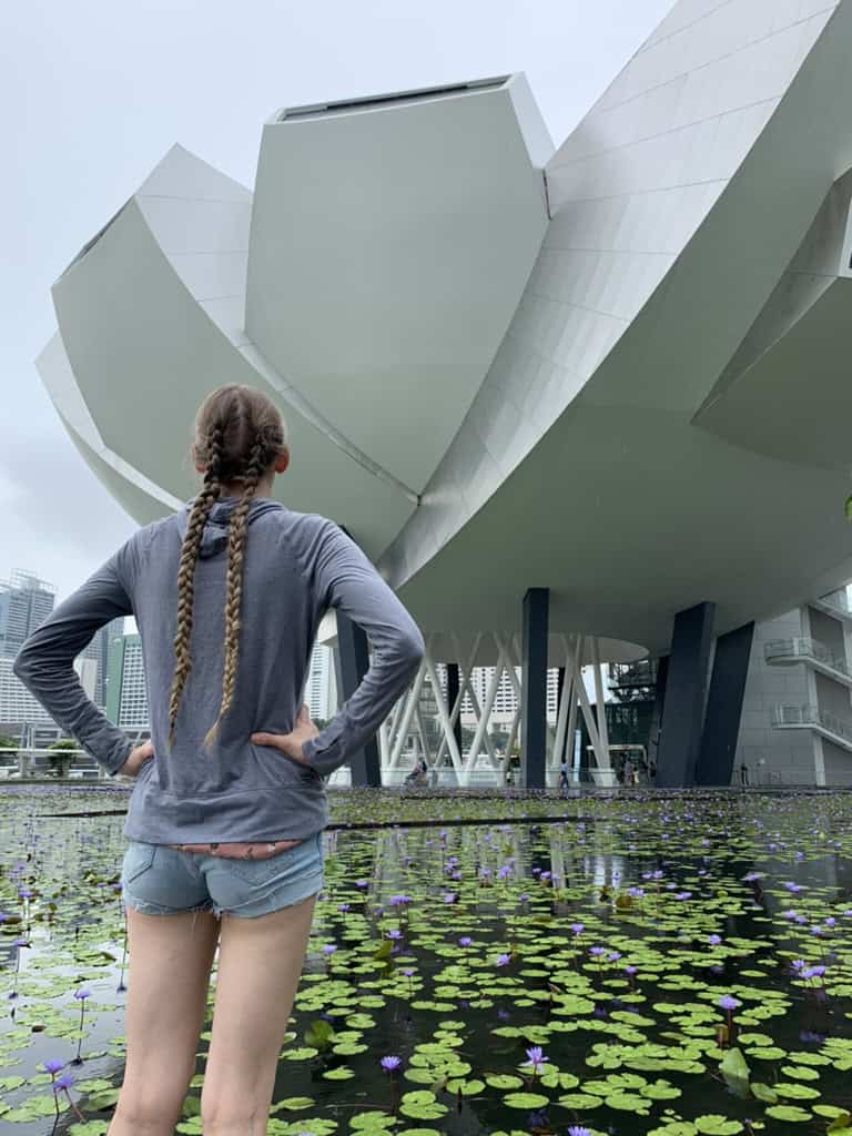 singapore museum