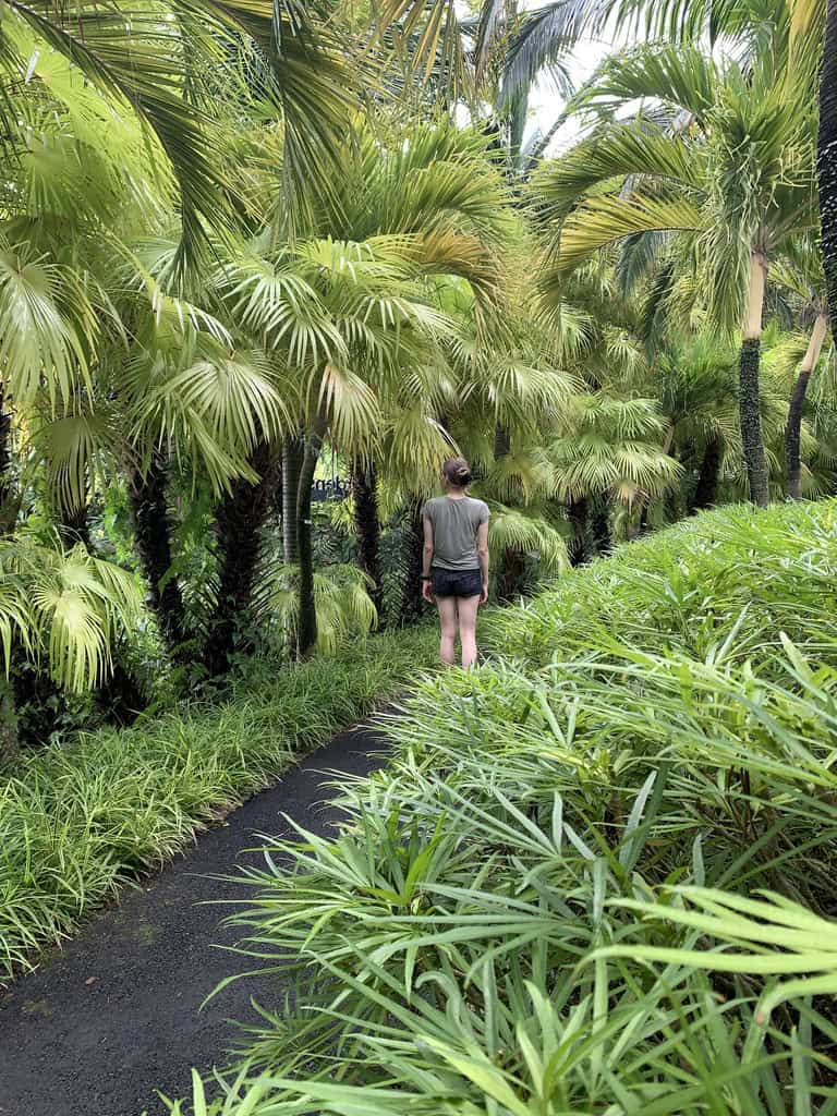 singapore gardens
