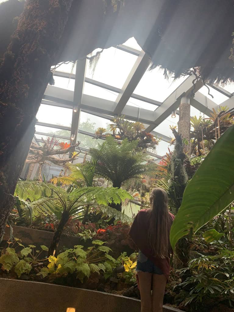 singapore gardens by the bay