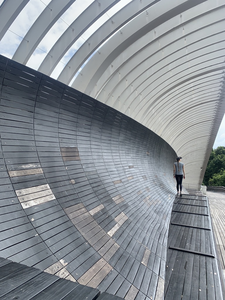 henderson waves singapore
