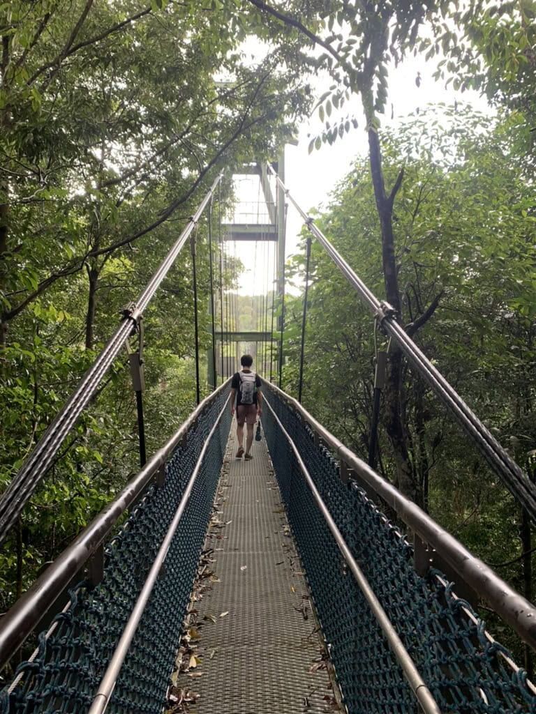MacRitchie Treetop Walk Trailhead
