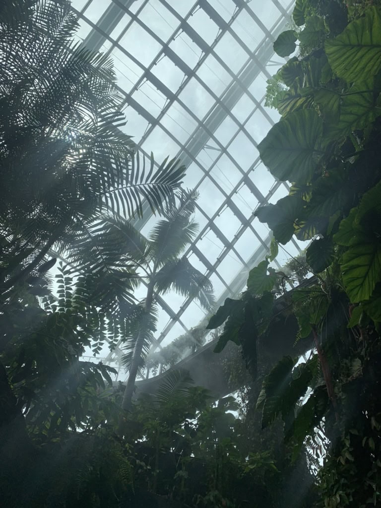 singapore cloud forest