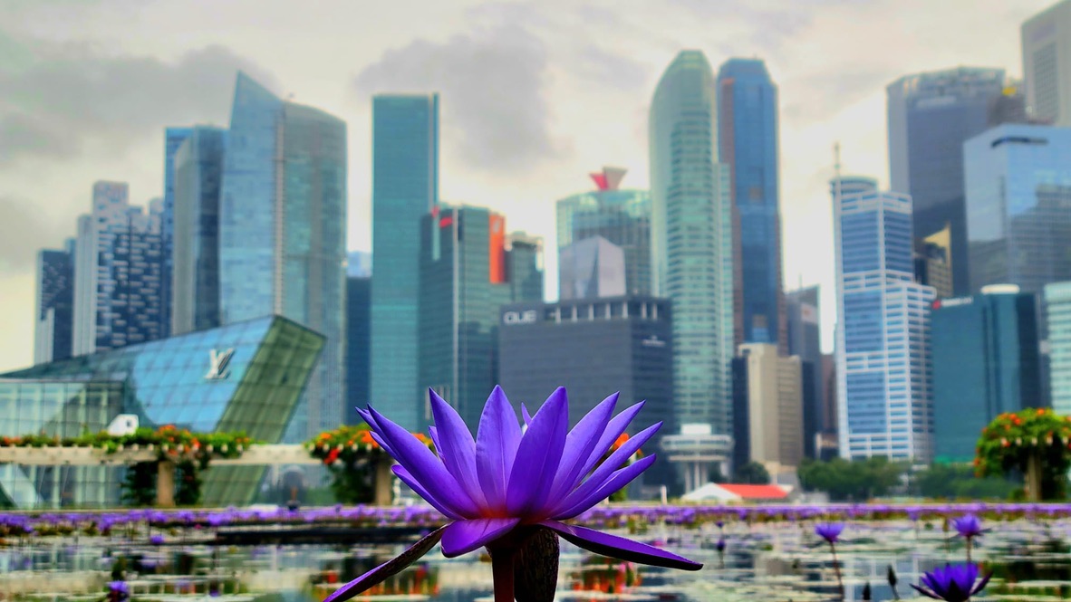 singapore artscience museum